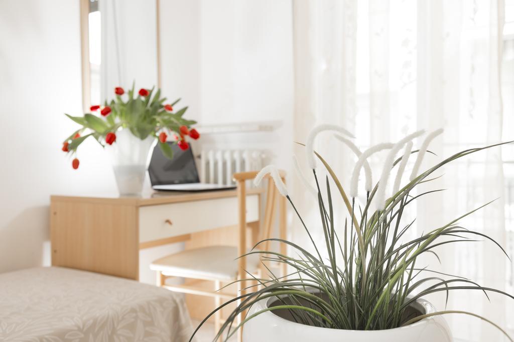 Hotel Bellerofonte Rimini Eksteriør bilde